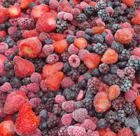 Groothandel Premium 4-Bessen Frozen Mix IQF Aardbei Blauwe Bes Framboos voor Yoghurtbakjes