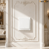 Prise murale européenne givrée blanche 10A, panneau combiné DIY, prise TV, ordinateur, téléphone, données, interrupteur électrique moderne pour la maison