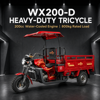 Tricycle de fret à essence 200CC refroidi par eau, capacité de charge 800KG, moto à trois roues pour commande en gros – Direct Usine
