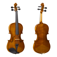 Professional Solid Wooden 4/4 Violin with Free Violin Accessories