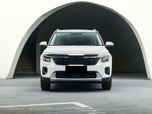 Setus ، 1.5 لتر CVT إصدار الموضة SUV/Sedan R18 إطارات خفيفة داخلية عالية الاقتصاد تعمل بالغاز/البنزين سيارة جديدة - Product Image 5