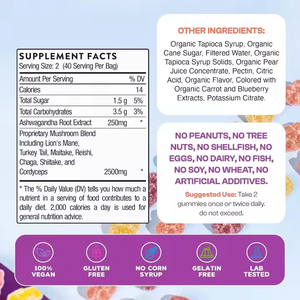 OEM Muestra gratis Orgánica Vegana Lions Mane Mushroom Gummies Nootrópico Cerebro para la memoria y el enfoque Suplemento nutricional - Product Image 3