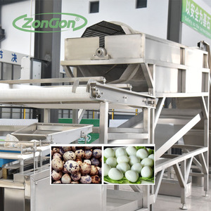 Máy sản xuất chế biến trứng cút - Product Image 1