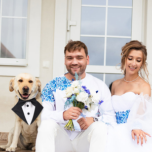 سادة أسود فاخر حيوان أليف رسمي وشاح الكلب سهرة مع ربطة عنق زي القوس للقطط والكلاب الكبيرة زي زفاف أسلوب بسيط - Product Image 3