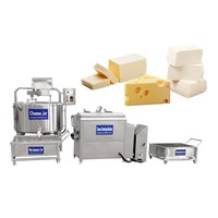 Machine de production de mozzarella à haute productivité, presse à fromage, mini-ligne de production de fromage