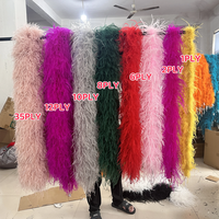 Boa en Plumes d'Autruche Naturelles de 2 Mètres pour Robe de Mariage, Accessoire de Couture, Châle en Plumes d'Autruche Colorées 1 2 6 8 10 PLY