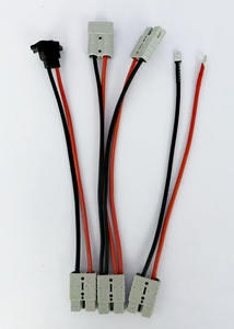 摩托车用新能源大电流储能连接线50A一对二10AWG 8AWG 10m聚氯乙烯延长线 - Product Image 3