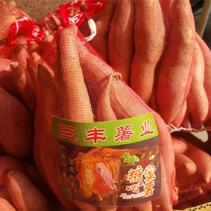 Nhà máy thương hiệu mới nhỏ lưới túi cho nông nghiệp bao bì khoai lang táo hạt dẻ hành tây khoai tây cam lưới túi lưới - Product Image 5