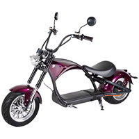 Motocicleta Eléctrica Plegable Loyal Intelligent GPS de 60V 30AH con Batería de Litio de 2000W, Resistente al Agua