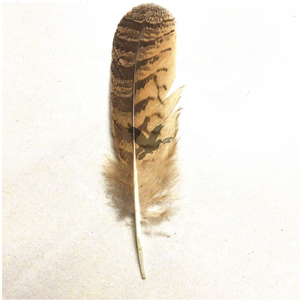 China Professional Manufacturer 10-12inch/25-30cm Natural <strong>Eagle</strong> <strong>Feathers</strong> - Product Image 5