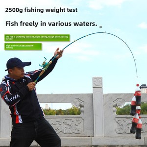 ルアーロッドセット炭素繊維中アクション長距離キャスティングコイオーシャンビーチ釣りストレートハンドルフルセットロッド - Product Image 2