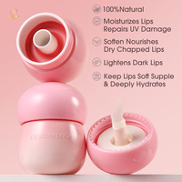 Gloss à lèvres repulpant personnalisé marque privée brillant à lèvres plus dodu base de brillant à lèvres végétalien brillant à lèvres repulpant transparent vente en gros