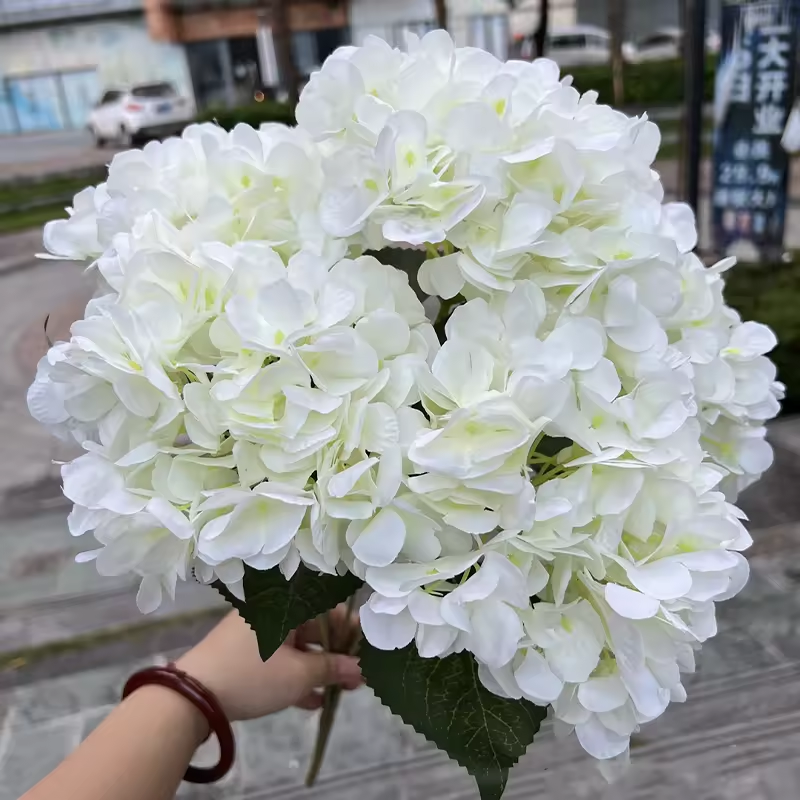 2# Blanc de lait