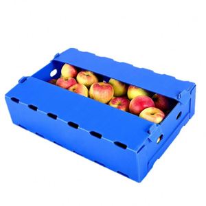 Plastic Box Fruit Plastic Box Plastic Corrugated Cardboard Box Fruit