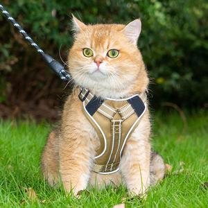 Harnais pour chat en nylon respirant, petit modèle, avec poignée rembourrée, réfléchissant, motif dessin animé - Product Image 2
