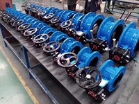 Vanne papillon en fonte ductile PN16/PN10 personnalisable à prix d'usine avec revêtement en caoutchouc EPDM pour applications industrielles de l'eau
