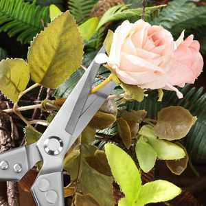 Sécateur multifonctionnel en acier inoxydable pour la taille des vigne, des branches et des fleurs, outils de jardinage, ciseaux pour plantes en pot - Product Image 4