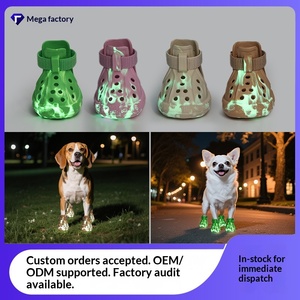 Zapatos para Perros, Impermeables, Duraderos, Transpirables, Antideslizantes, Luminosos, con Orificios para las Patas, para Corgis, Lindos y Populares en Internet - Product Image 2