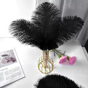 45-50cm venta al por mayor plumas de avestruz blancas teñidas plumas fiesta boda carnaval Festival pluma decoración DIY artes artesanía - Product Image 2