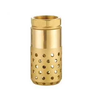 Válvula de Retención de Latón NPT de 3 Pulgadas con Filtro Redondo, Válvula de Pie para Bomba de <span class=keywords><strong>Pozo</strong></span>, Control de Flujo Unidireccional - Product Image 2