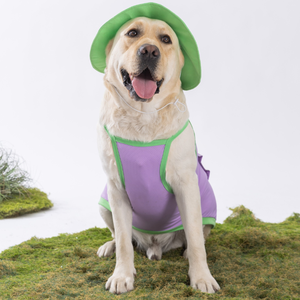 Pakaian pendingin hewan peliharaan, rompi anjing <span class=keywords><strong>Anti</strong></span> kecemasan dan jaket nyaman bersirkulasi panas & dingin - Product Image 4