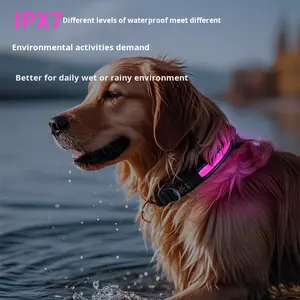 <span class=keywords><strong>Collar</strong></span> de Nailon LED para Perro con Carga Tipo-C, Características Reflectantes y Luminosas, y Patrón Monocromático para Paseos Nocturnos - Product Image 2