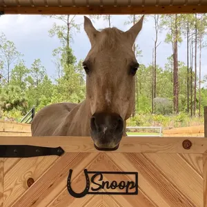 Gepersonaliseerde Hoefijzervormige Ijzeren Metalen Naamplaatje Voor Paarden Dier Roest Proof Boerderij Schuur Custom Logo