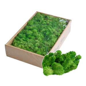 Suministros de decoración de césped artificial moss panel - Product Image 3