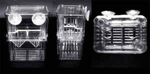 Caja de cría de aislamiento de peces de acuario para bebé <span class=keywords><strong>Guppy</strong></span> - Product Image 6