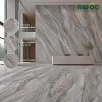 Toptan Fiyatı 1200x2400mm Honlanmış Isıya Dayanıklı Büyük Boy Sinterlenmiş Taş, Ada Tezgahı İçin