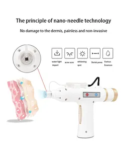 2024 tháng ba EXPO 50% tắt Nano pha lê phun không có kim Meso Súng kim phun nano Meso tiêm nanochip Meso Súng sử dụng nhà