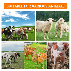 Mangeoire pour bétail en acier <span class=keywords><strong>galvanisé</strong></span> robuste, mangeoire pour fourrage pour moutons, bovins, chevaux, chèvres, porcs, hangars agricoles, équipement d'élevage - Product Image 6