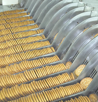 Chaîne de production entièrement automatique et multifonctionnelle pour la fabrication de biscuits et de cookies – Nouvelle ligne de boulangerie