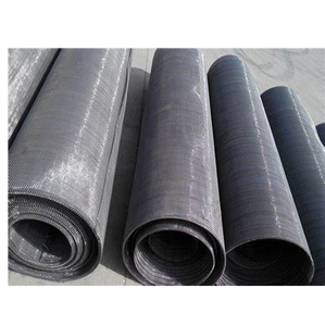 <span class=keywords><strong>304</strong></span> स्टेनलेस स्टील माइक्रो वायर जाल फिल्टर पैनल ठीक सादा tweth wtwch धातु जाल बुना हुआ धातु जाल कपड़े बुना हुआ इस्पात तार जाल - Product Image 2