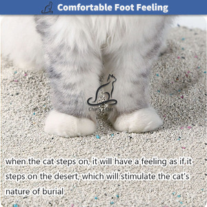 Arena para Gatos de Bentonita Aglomerante Instantánea Premium, Libre de Polvo, con Control de Olores y Características Ecológicas - Product Image 4