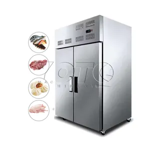 Industrial Large Blast Freezer Machine Fish Meat Quick Freezing Freezer IQF Fast freezing Machine For Sale