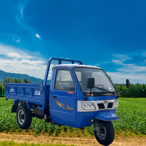 Triciclo Shonly - Gran Venta en África 1115, Capacidad de Carga 3 - Product Image 2