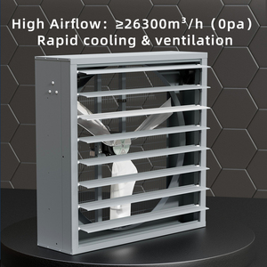 1100Mm Áp Lực Tiêu Cực <span class=keywords><strong>Fan</strong></span> Nhiệm Vụ Nặng Nề Búa Xả Cho Hội Thảo Công Nghiệp Tường <span class=keywords><strong>Fan</strong></span> Gia Cầm Nhà Kính Gà Nhà <span class=keywords><strong>Fan</strong></span> Hâm Mộ - Product Image 2