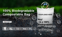 Sacs en plastique biodégradables à fermeture éclair personnalisés avec logo, qualité supérieure, pour sous-vêtements, chaussettes, vêtements, sacs à fermeture éclair givrés