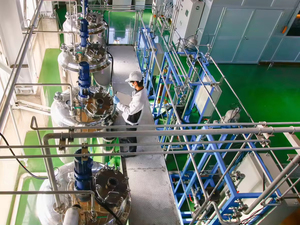 เซลโลไบโอส ผงฟู โปรไบโอติก อาหารเสริมลำไส้ ใยอาหาร สารให้ความหวานแทนน้ำตาล วัตถุเจือปนอาหารเพื่อสุขภาพ วัตถุดิบอาหาร 1 กิโลกรัม ญี่ปุ่น - Product Image 3