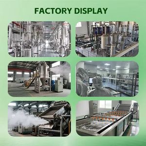 Capsule di Bellezza alla Vitamina Slu-Pp-332, 60 Pezzi, Integratore Alimentare Naturale - Product Image 4