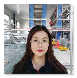 Sistema <span class=keywords><strong>de</strong></span> equipo <span class=keywords><strong>de</strong></span> cría <span class=keywords><strong>de</strong></span> aves <span class=keywords><strong>de</strong></span> corral <span class=keywords><strong>de</strong></span> huevo automático galvanizado en caliente Jaulas <span class=keywords><strong>de</strong></span> pollo tipo H Jaula <span class=keywords><strong>de</strong></span> <span class=keywords><strong>gallo</strong></span> automatizada Equipo <span class=keywords><strong>de</strong></span> granja avícola - Product Image 6