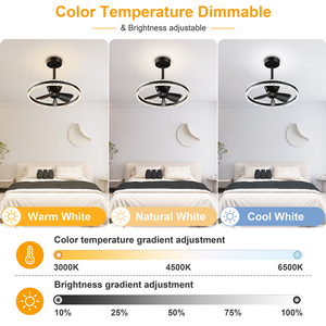 Ventilateur de plafond décoratif d'intérieur 19,7'' avec lumière LED, télécommande via application, 6 vitesses, moteur silencieux en cuivre pur, réversible, pour chambre à coucher, en plastique - Product Image 2