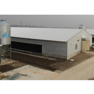 Ferme avicole gà Coop hen nhà đúc sẵn xây dựng Gà Gia cầm nông nghiệp dự án - Product Image 3