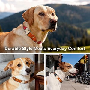 <span class=keywords><strong>Collar</strong></span> para Perro de Cuero Genuino Nibao, Ajustable y Resistente, con Hebilla Metálica de Liberación Rápida, Suave y Elegante - Product Image 5