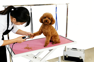 Table de toilettage pour animaux de compagnie en acier inoxydable pliable et réglable en hauteur pour chiens et chats à vendre - Product Image 4