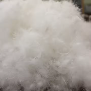 Plumes <span class=keywords><strong>de</strong></span> <span class=keywords><strong>canard</strong></span> blanches lavées en gros <span class=keywords><strong>d</strong></span>'usine et matière première <span class=keywords><strong>de</strong></span> duvet <span class=keywords><strong>de</strong></span> <span class=keywords><strong>canard</strong></span> gris <span class=keywords><strong>ou</strong></span> <span class=keywords><strong>de</strong></span> <span class=keywords><strong>plume</strong></span> <span class=keywords><strong>d</strong></span>'<span class=keywords><strong>oie</strong></span> - Product Image 1