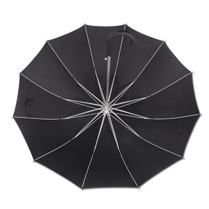 Light Weight Aluminum Durable 12 Ribs Windproof <b>Umbrella</b> - Product Image 3