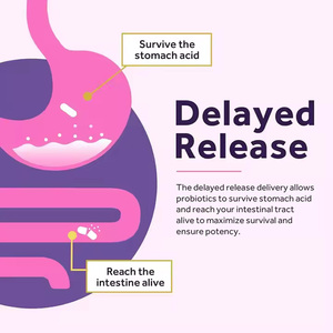 Men vi sinh phụ nữ bổ sung men vi sinh phụ nữ Viên nang Men vi sinh sức khỏe phụ nữ - Product Image 5