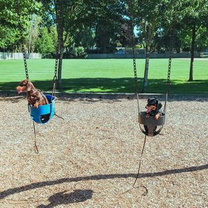 Topind 5mm Đường kính võng Ghế xích đu nhiệm vụ nặng nề treo chuỗi ghế với Carabiner - Product Image 4